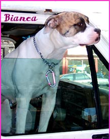 bianca.jpg