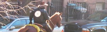 cowboy.pdberger.com.jpg