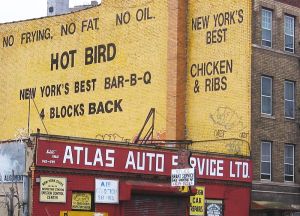 hot bird-tn.jpg