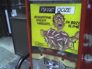 maggots.jpg