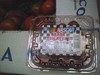 Nascar_tomatoes_1