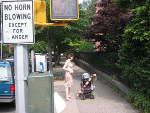 no honking-tn.jpg